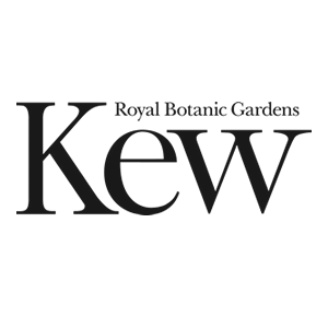 Kew - testimonial