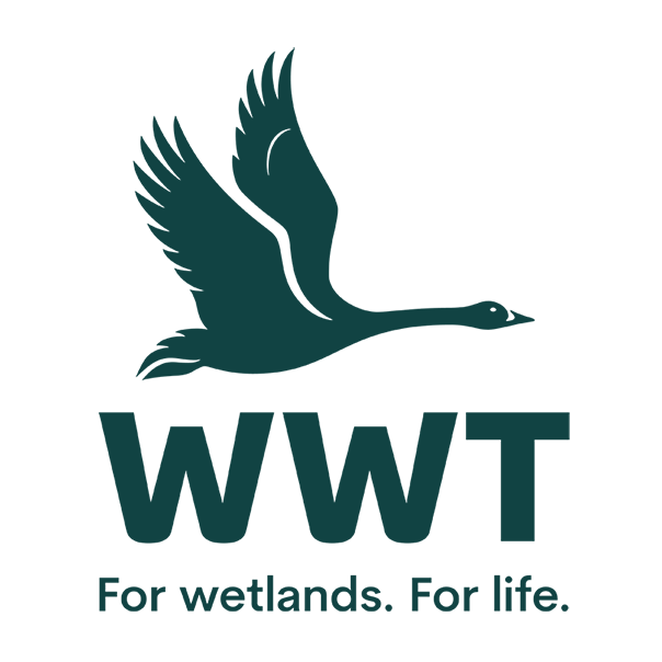 WWT Logo