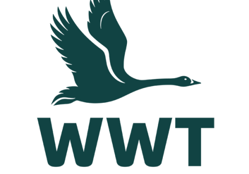 WWT Logo